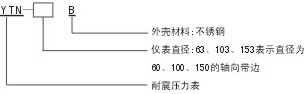 耐震压力表(图2)