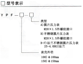 膜片压力表(图1) 膜片压力表型号表示